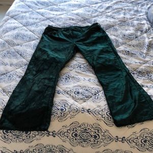 Free People satin type pant - velour